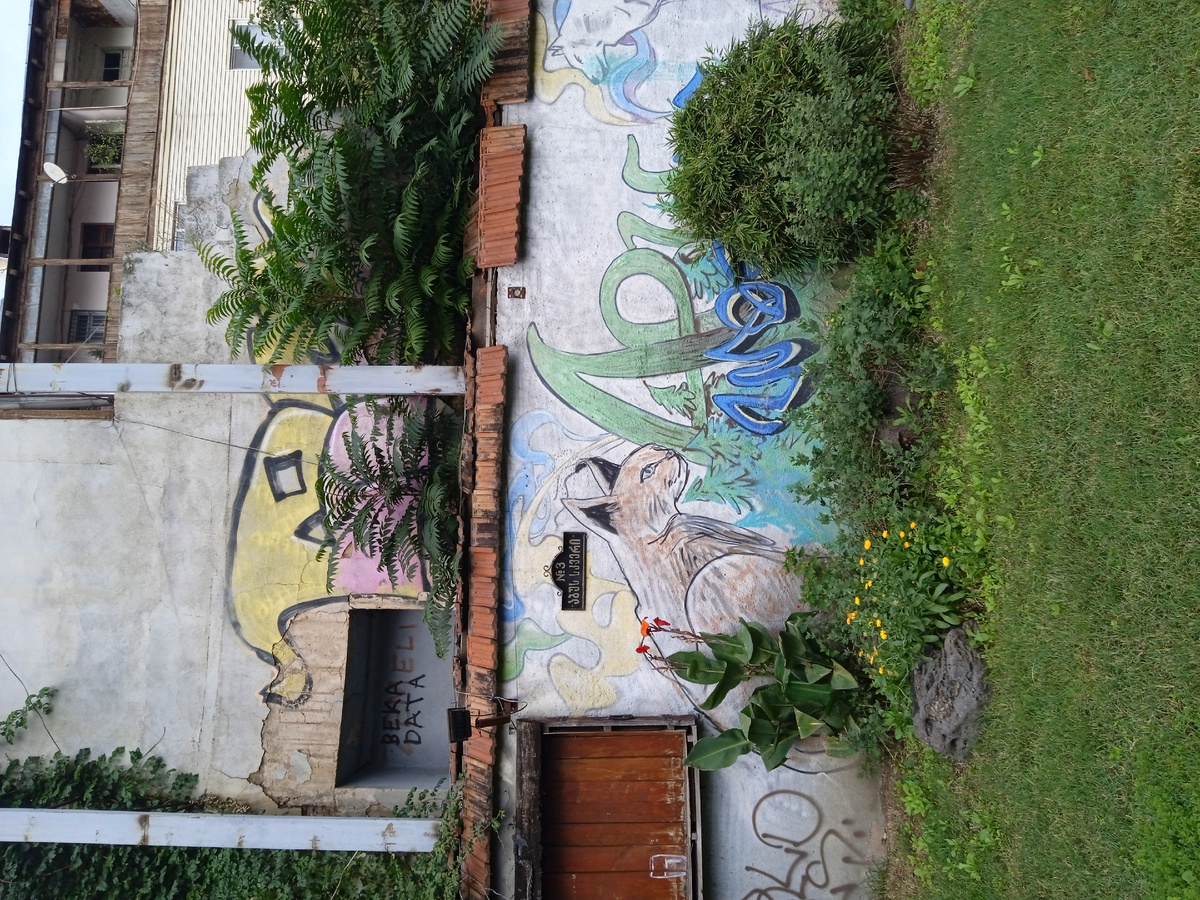 Такие рисунки на стенах домов - явление частое