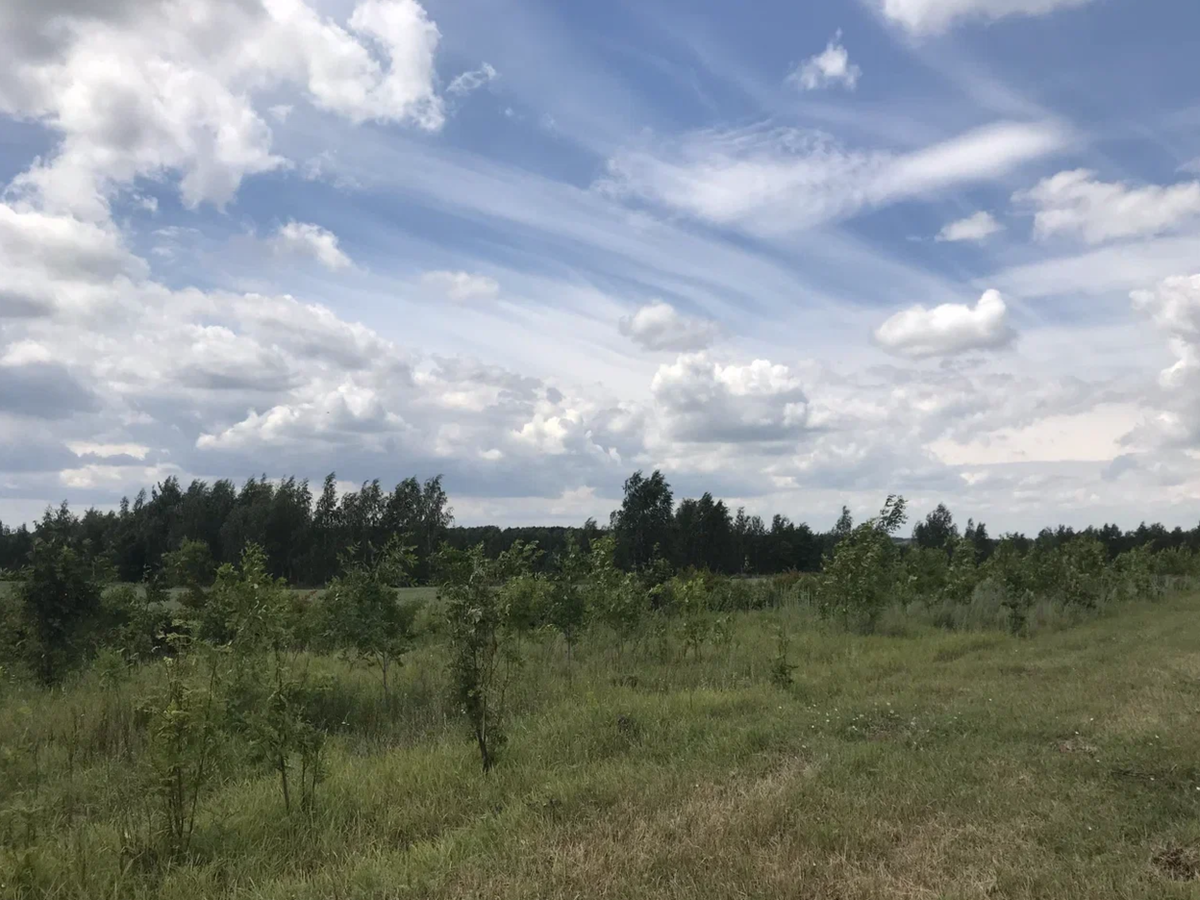 Решил сделать фото природы во время остановки. Как же сильно потом поменялись виды!