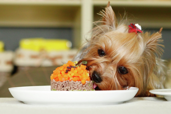 Фото: РИА Новости/Руслан Кривобок