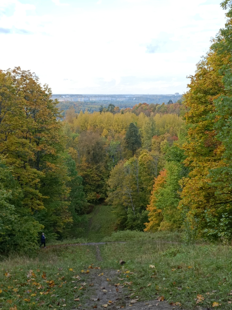 Вид с Ореховой горы