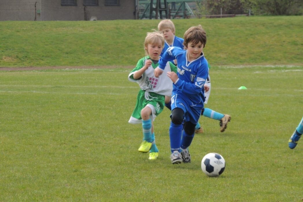    Фото: Pxhere.com