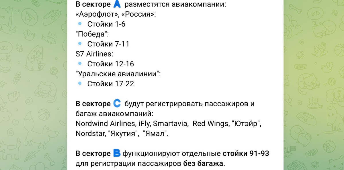    Фото: Telegram/Аэропорт Сочи