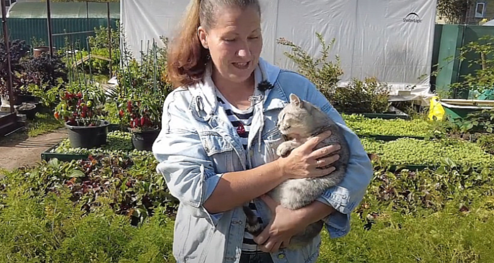 ПРОСТО СМАЖЬТЕ БАНКУ МАСЛОМ - МЫШЕЙ БОЛЬШЕ НЕ УВИДИТЕ. ДЕЛАЕМ ЛОВУШКУ ОТ МЫШЕЙ В ДОМЕ.