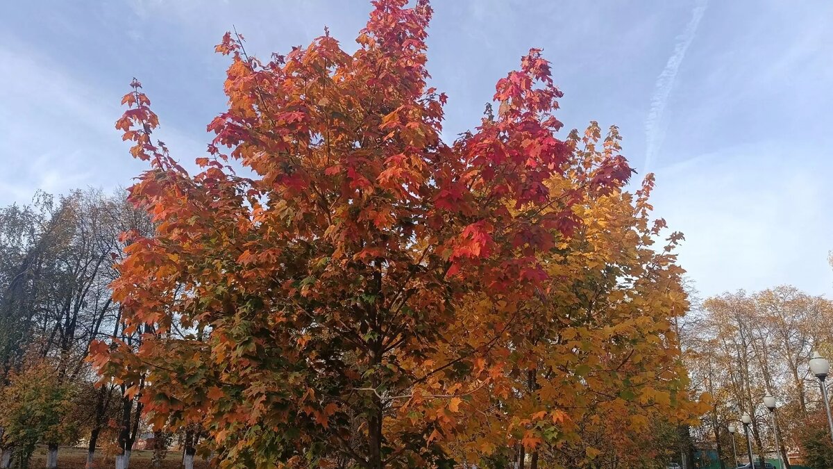     Источник: newsnn.ru