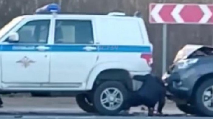 Кадр из видео телеграмм-канала АСТ-54 Black.