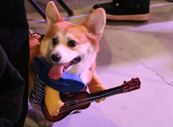 Фотография с официального сайта группы Вконтакте "Коргивин"