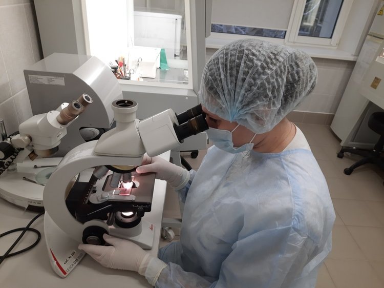    Пчеловоды, не забывайте о проверке на нозематоз!