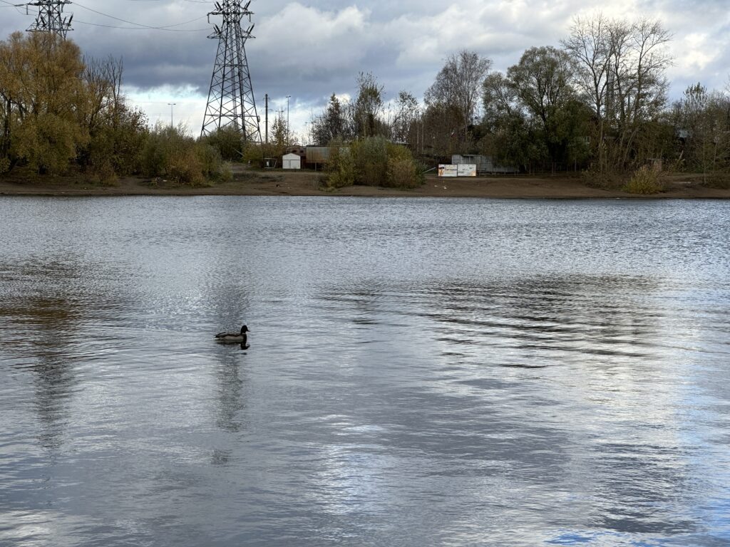    Фотоархив v-urse.ru Алена Калашникова