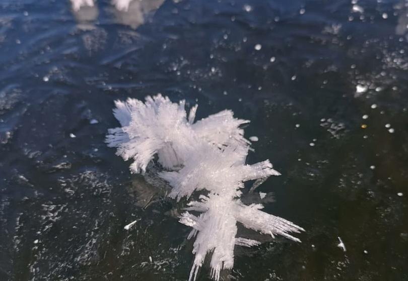    © государственный инспектор в области охраны окружающей среды Чусовского участка природного парка "Пермский" Л.В. Каменских