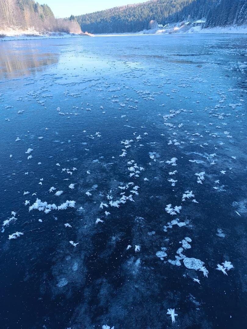    © государственный инспектор в области охраны окружающей среды Чусовского участка природного парка "Пермский" Л.В. Каменских