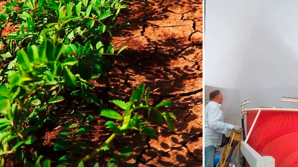 Фото: © Скриншот видео