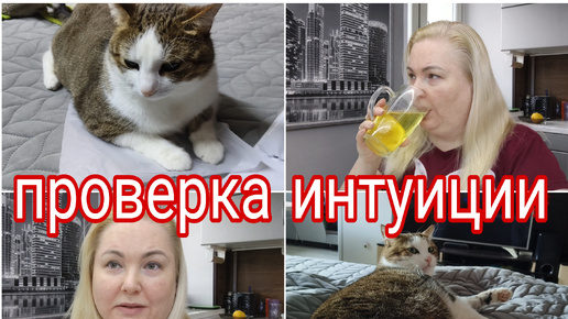 ПОКАЗЫВАЮ БЛУЗКИ, КОТОРЫЕ Я ВЫКУПИЛА * ПОЗДРАВЛЯЮ ТЕХ, КТО УГАДАЛ! * А РАЗВЕ МОДА И ПОДХОДЯЩИЙ ФАСОН ЭТО ОДНО И ТОЖЕ?