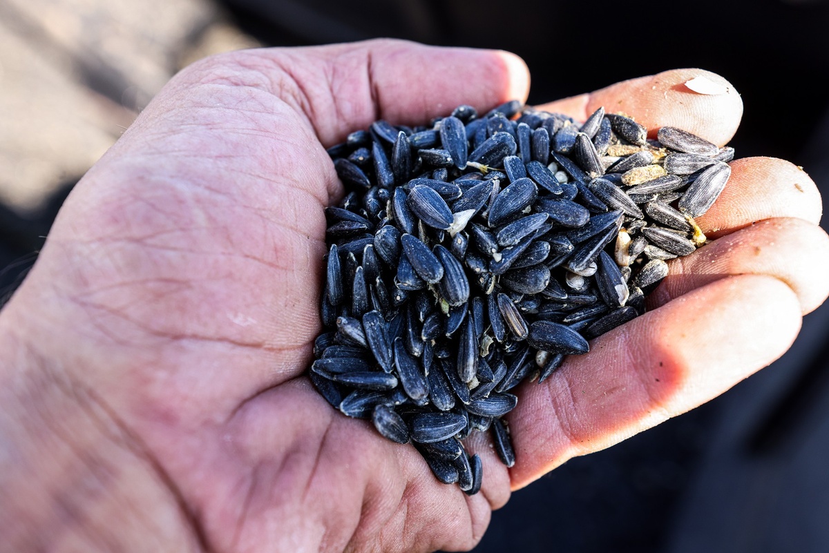 Фото © Сергей Мальгавко / ТАСС