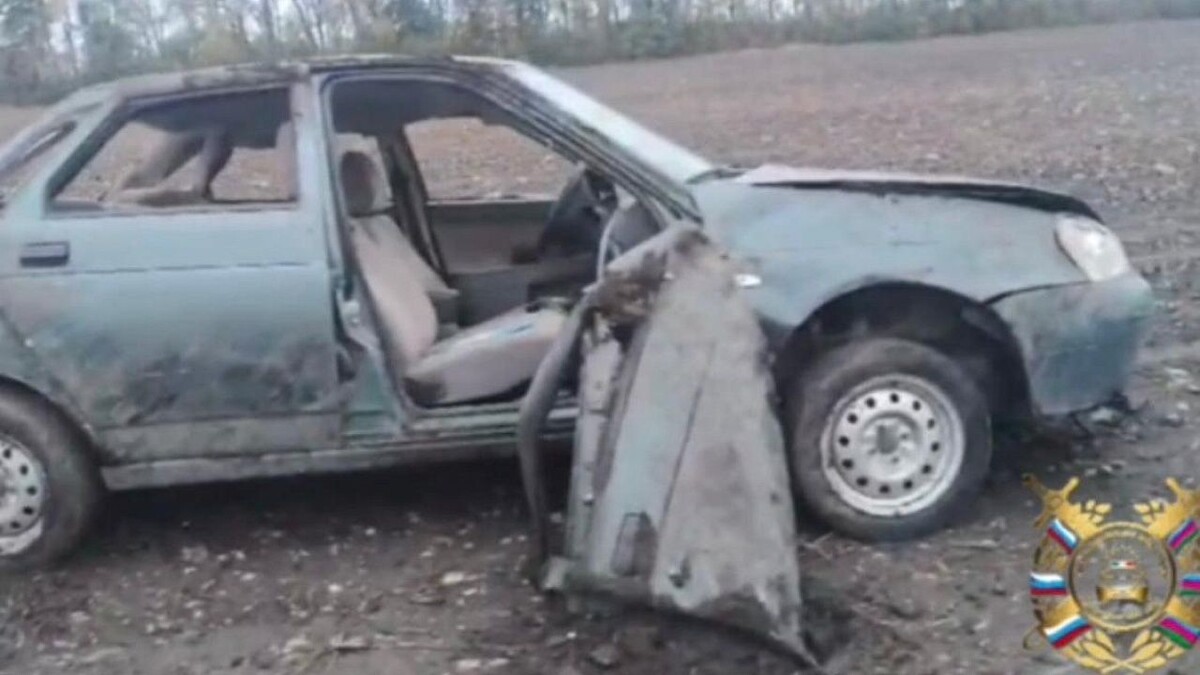    Фото: t.me/gibdd123region