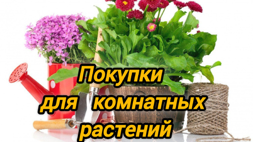 Покупки для комнатных растений.