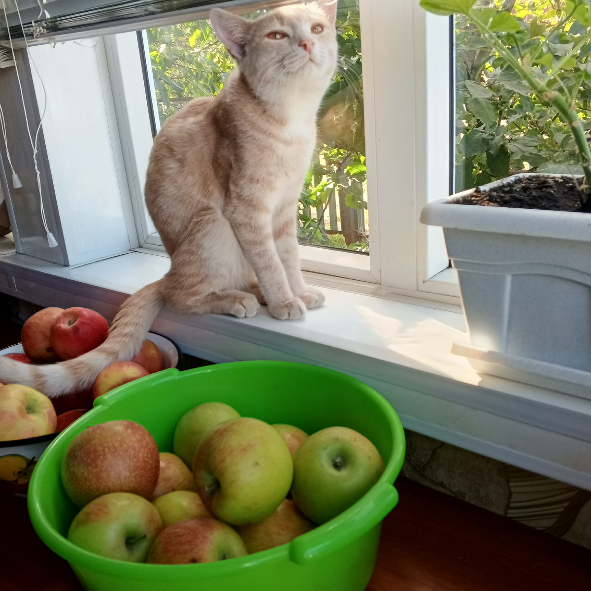 Хорошо то как, это был солнечный день, тот самый перед дождями