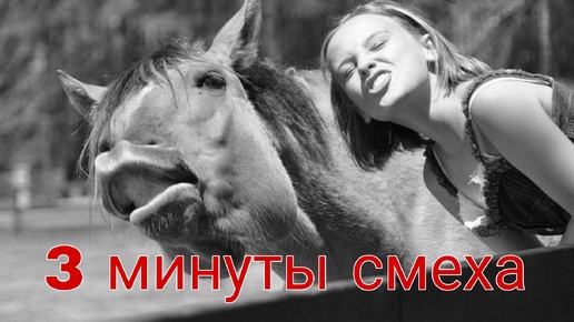 Смешные моменты снятые на камеру #67