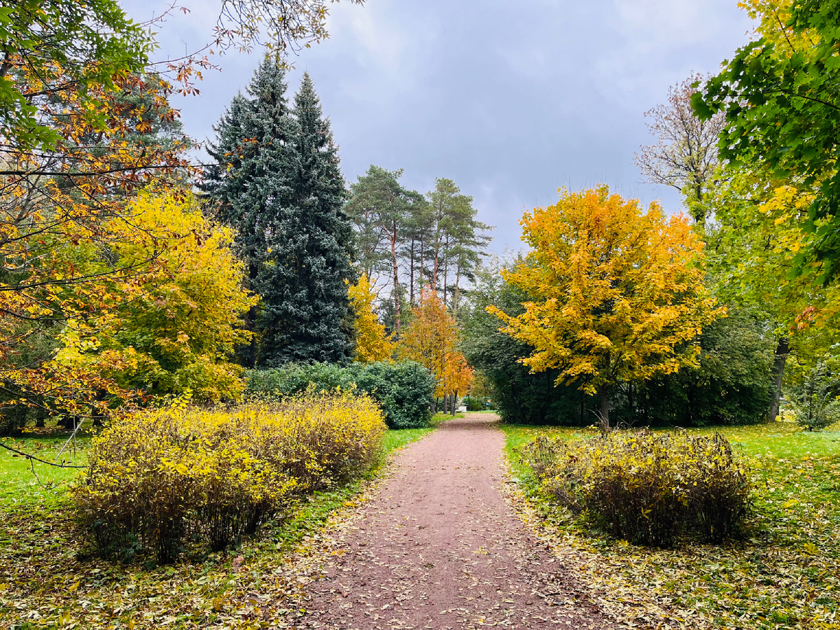 Приморский парк Победы