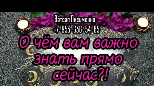 下载视频: О ЧЁМ ВАМ ВАЖНО ЗНАТЬ ПРЯМО СЕЙЧАС?#ТАРО#РАСКЛАД#ГАДАНИЕ#ОНЛАЙН