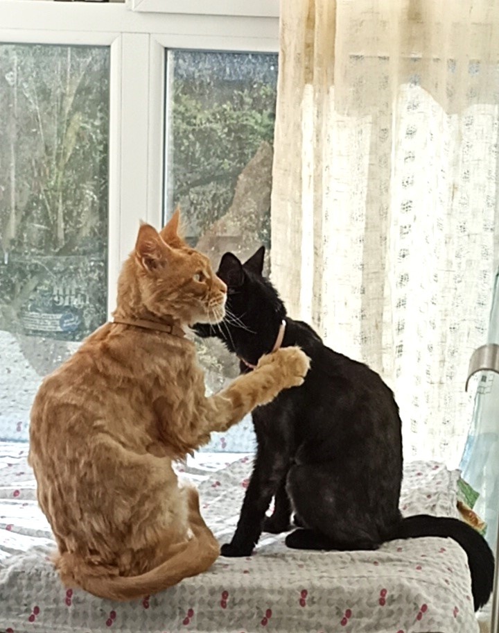 Держись, брат, с судьбой не поспоришь...