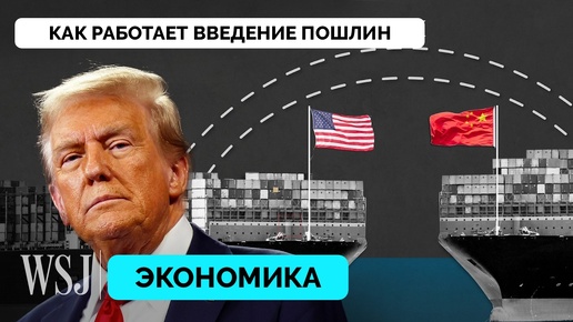 Почему Дональд Трамп Хочет Ввести Пошлину На Импорт в США и Как Это Повлияет На Экономику - The Wall Street Journal | 17.10.2024