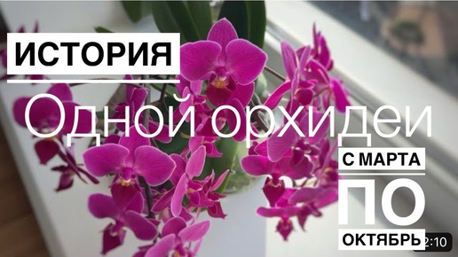 САКУРА будет ЦВЕСТИ опять! КОРНИЩА 😍👍🏻групповая посадка радует♥️