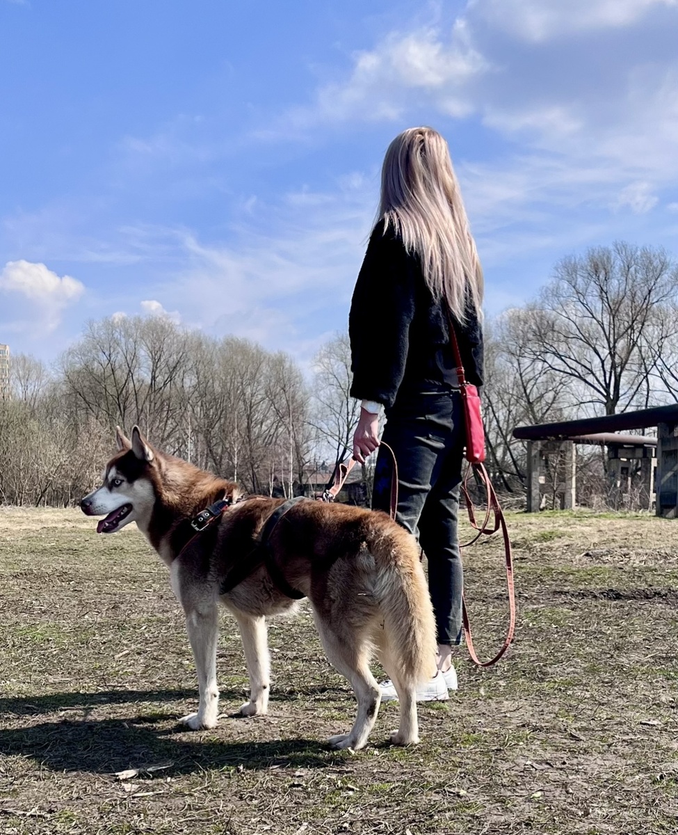 Любим гулять в роще 💕