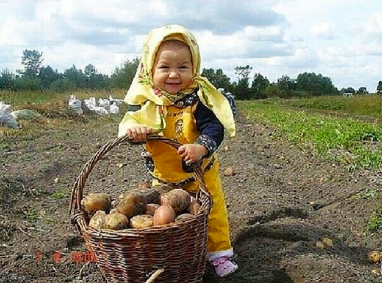 Ох устала я на этой картошке