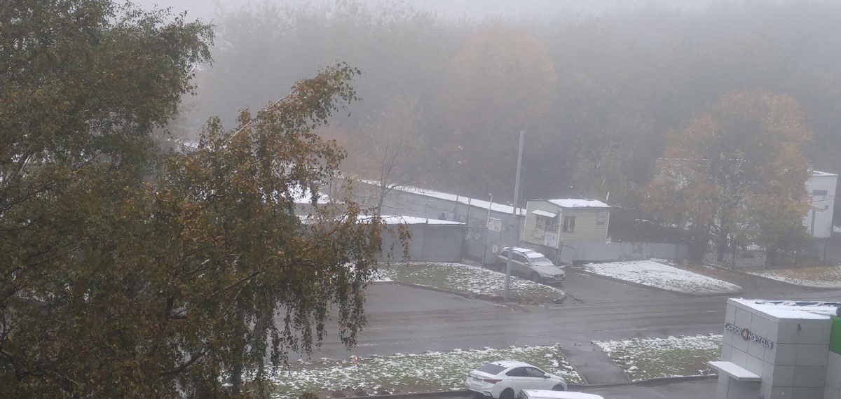 уже на следующий день все выглядело вот так