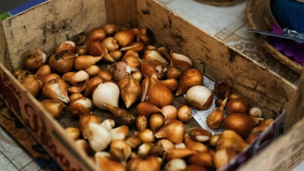    © Photo : Unsplash / Rasa Kasparaviciene