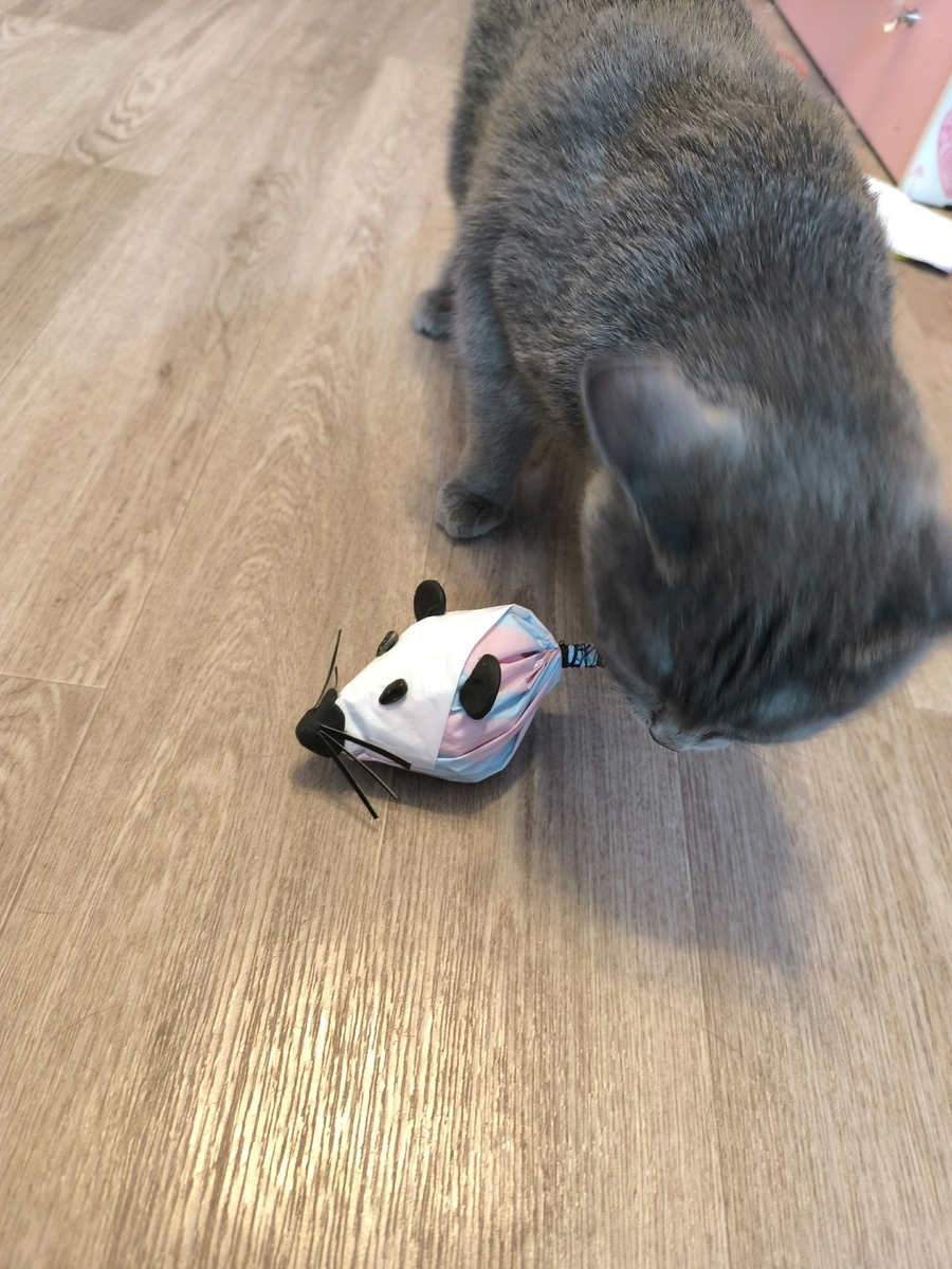 Аксессуар для кошки из вторсырья. Мышь оценила