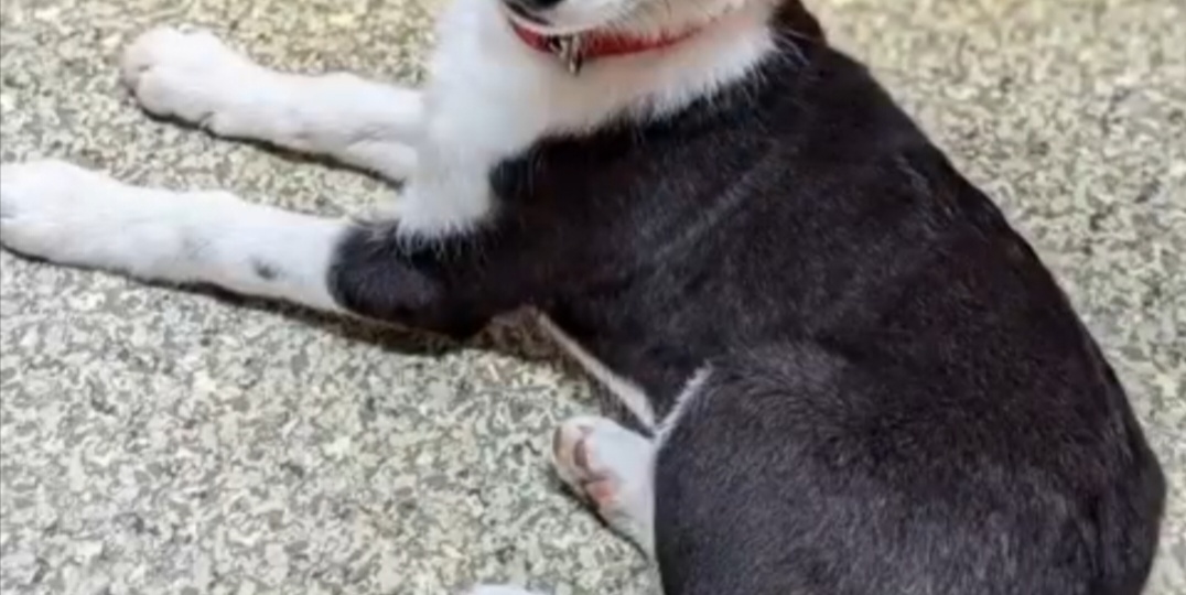 Долгожданная новость! Кнопочка дома