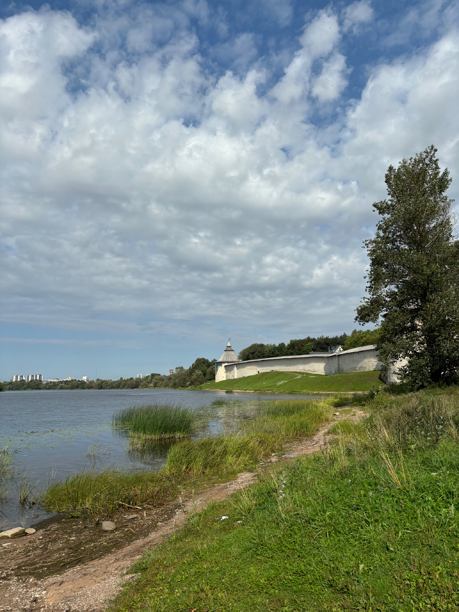 Река Великая и за первыми деревьями справа - река Пскова