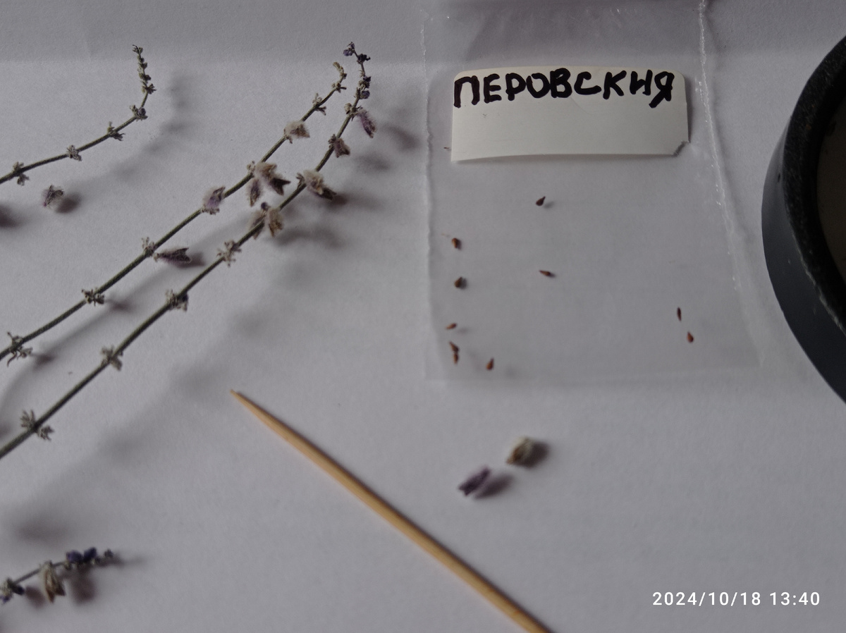 неожиданность