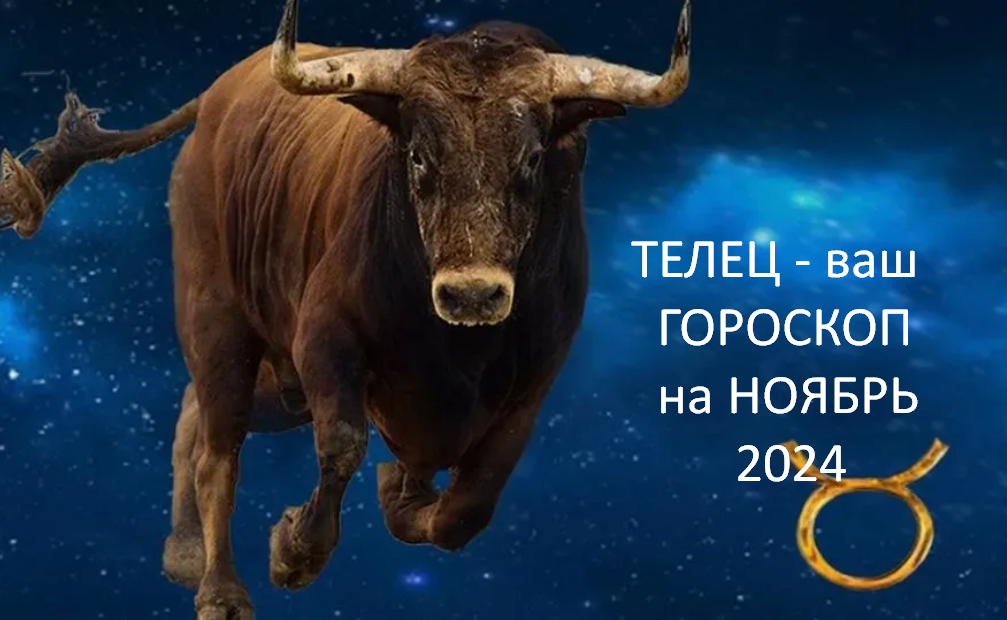 фото из открытого источника