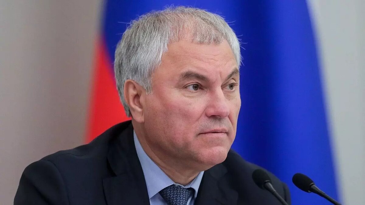 Спикер Госдумы Володин оставил женщинам право принимать решение о рождении ребенка. Фото: пресс-служба Госдумы