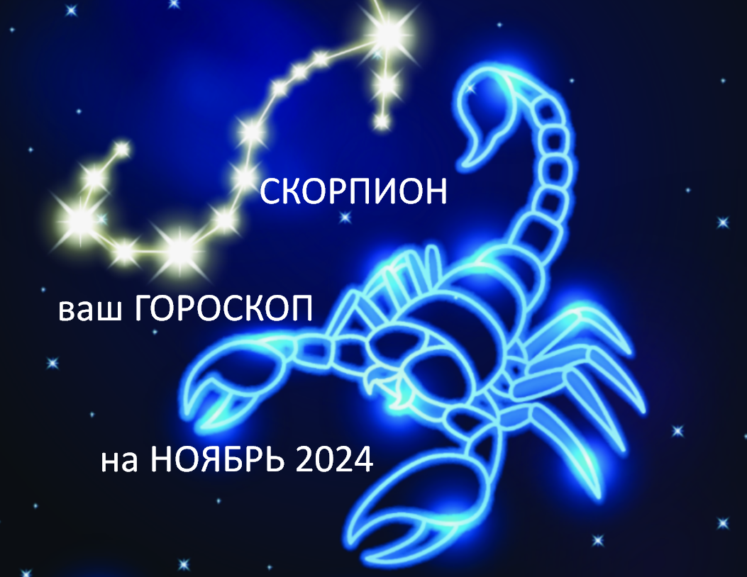 фото из открытого источника