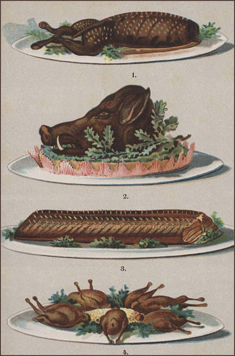 Иллюстрация из поваренной книги "Kucharka litewska", 1854 год
