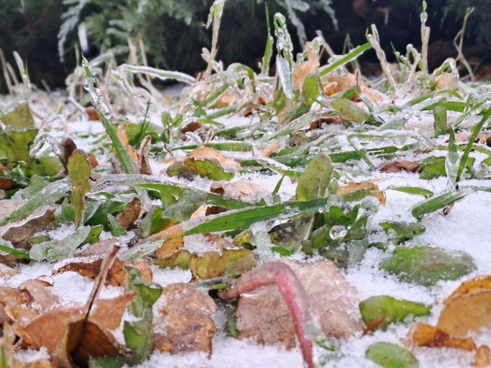    Снег в Барнауле. Источник: "Толк"