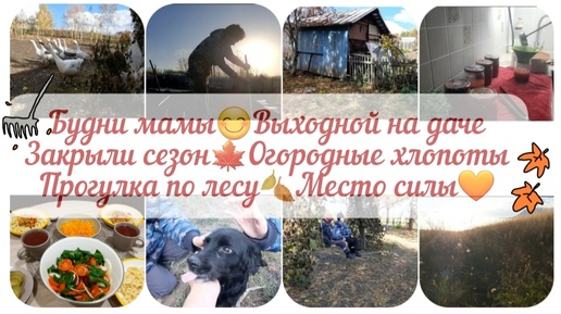 БУДНИ МАМЫ😊ЗАКРЫЛИ ДАЧНЫЙ СЕЗОН🍁ОГОРОДНЫЕ ХЛОПОТЫ🍂БЫСТРЫЙ УЖИН🥘ЗАГОТОВКИ🌠