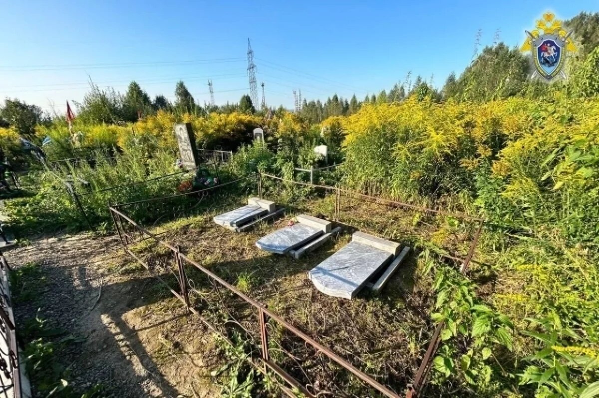    Детский психолог Аксенова пояснила, почему подростки разрушают кладбища