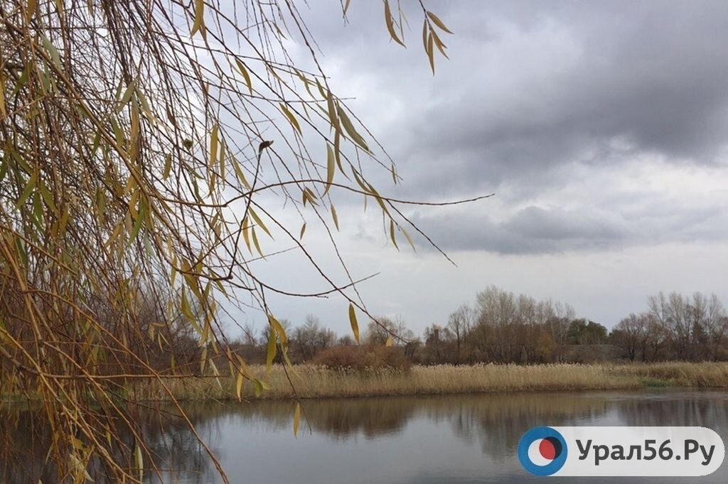    Выходные в Оренбургской области будут дождливыми. Прогноз погоды на ближайшие дни