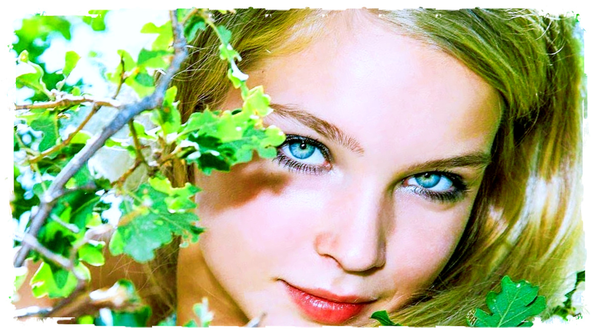 Взято из Яндекс Картинки