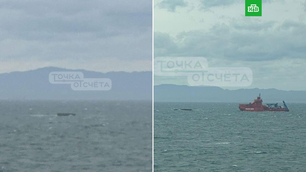    Фото: соцсети