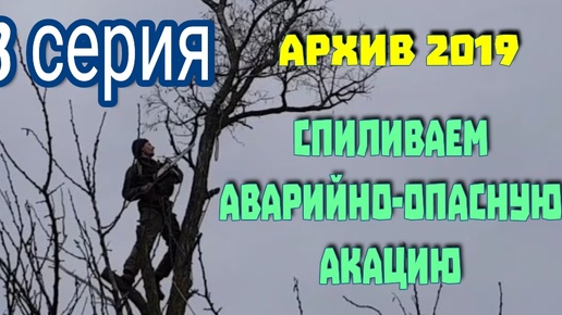 13 серия. Архив 2019. Убираем с нашего участка аварийно опасную акацию, тут сильные ветра и это небезопасно.