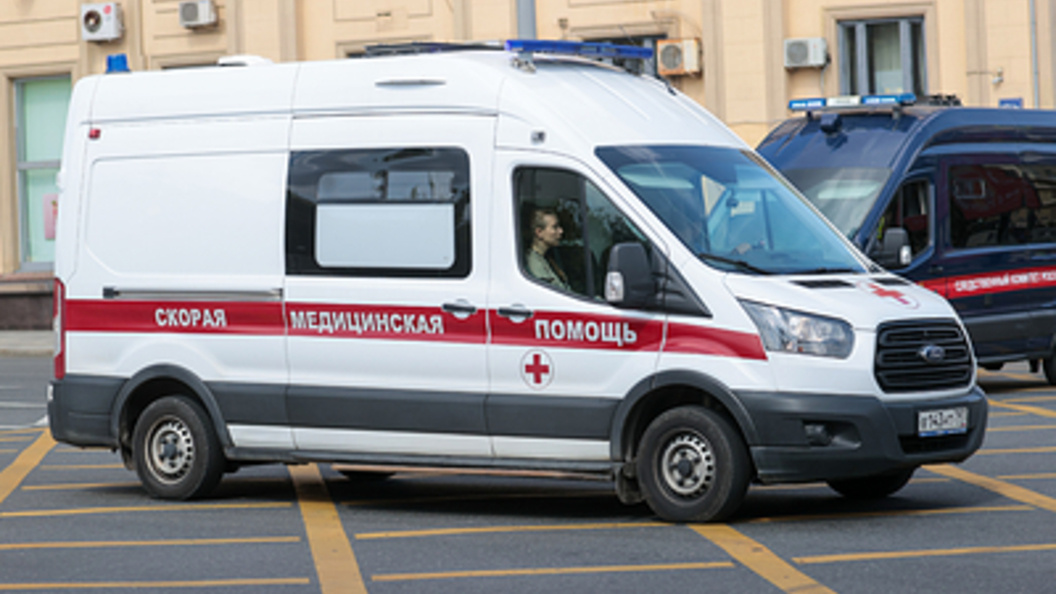    Фото: Belkin Alexey/Globallookpress.