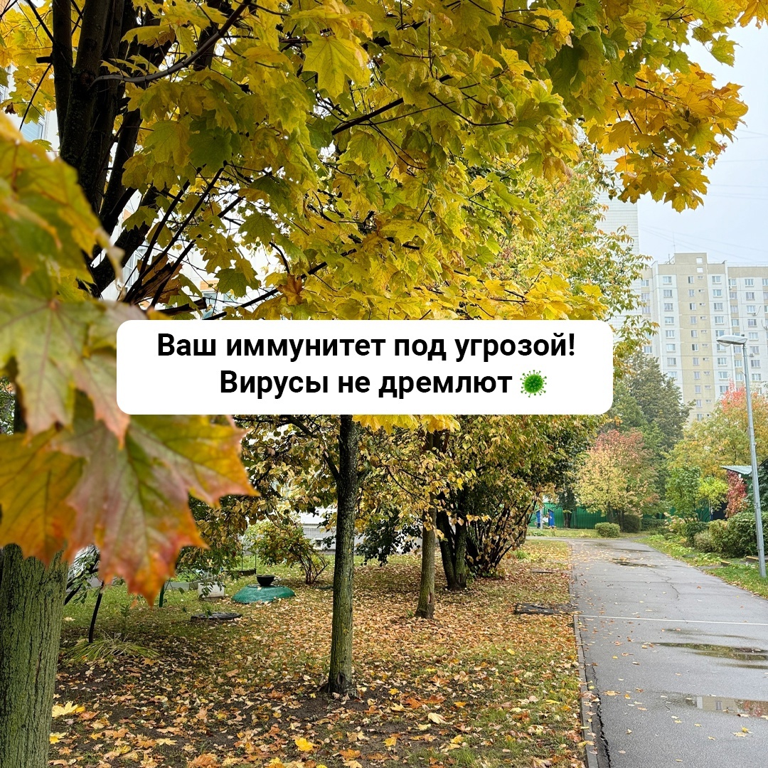 Заканчивается октябрь, а значит в разгаре сезон простуд. 
Сейчас мы много времени проводим в закрытых, непроверяемых помещениях (сады, школы, офисы и т.д), много людей со своими бактериями, а значит нагрузка на иммунитет возрастаем многократно!

Поэтому сейчас особенно важно начать укреплять иммунитет!

Если ваш иммунитет слабый, это может грозить вам следующим: