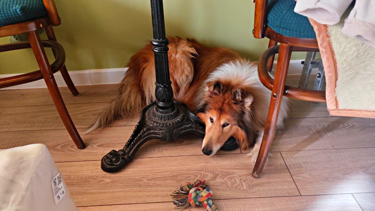 Переезд - дело серьезное. Приходиться самому искать укромные уголки, чтобы не мешать