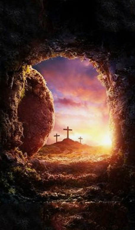 Из открытых источников