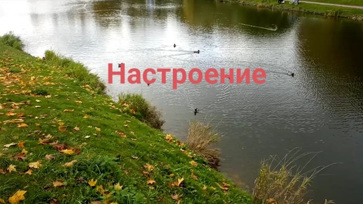 Настроение .